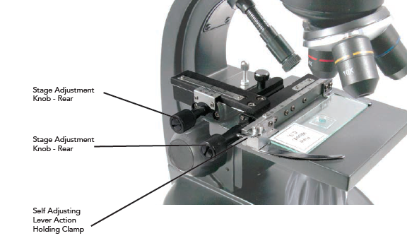 Celestron digital microscope sales lcd