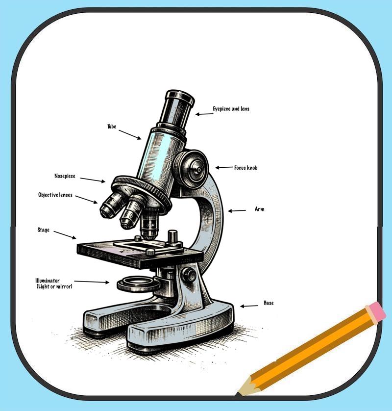 label the parts of a microscope.