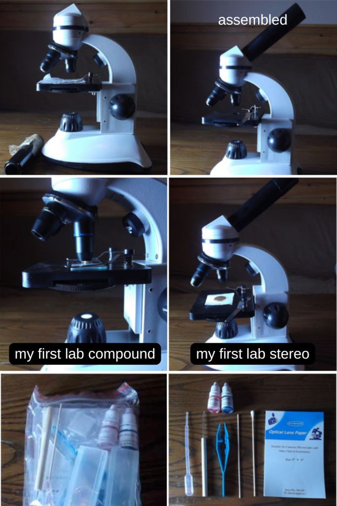 my first lab microscope.