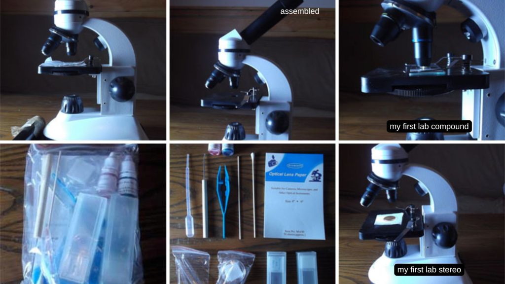 a collage of assembling my first lab microscope.