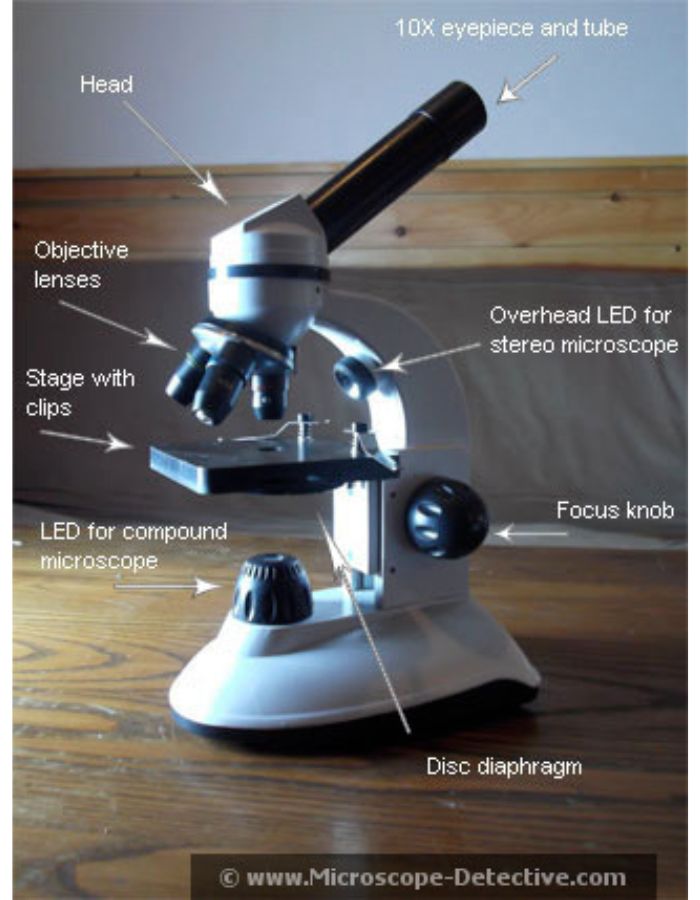 microscope set up is complete, and the parts are labeled.