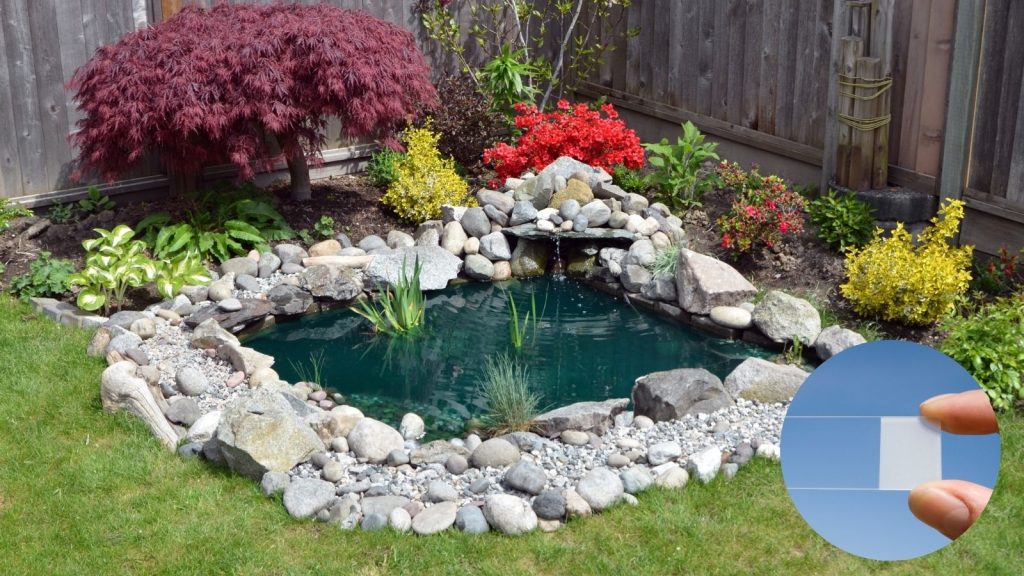 a pond in the backyard surrounded by plants. 