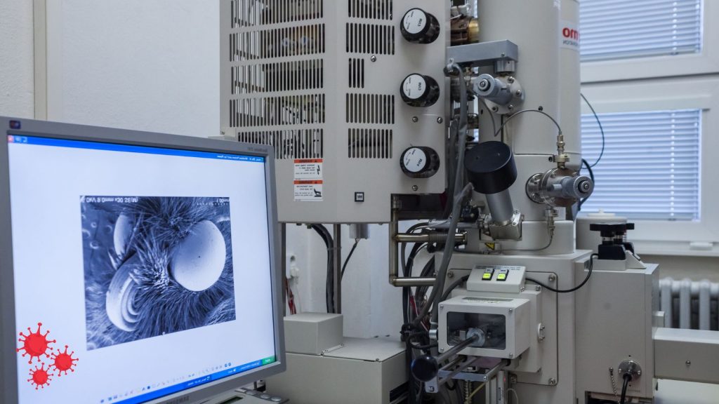 Laboratory of electron microscopy (scanning electrone microscope) at J. Heyrovsky Institute of Physical Chemistry of the Czech Academy of Sciences; Prague, Czechia (2020).