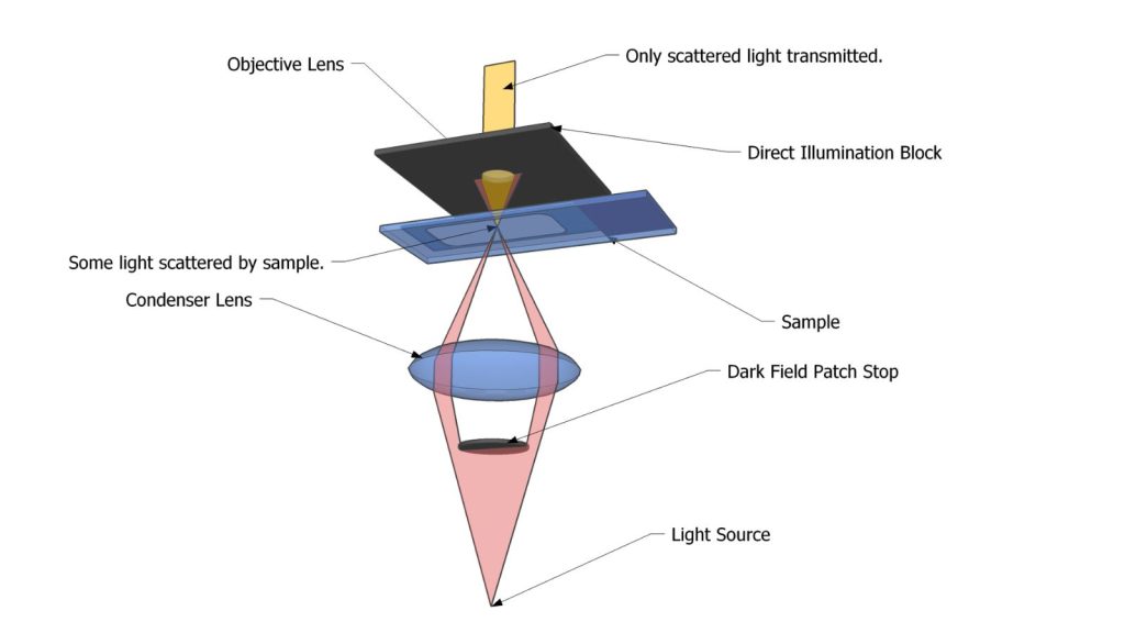 Diagram showing the light path in a dark field microscope.