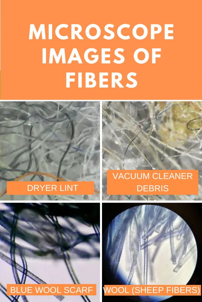 Microscope images of fibers.