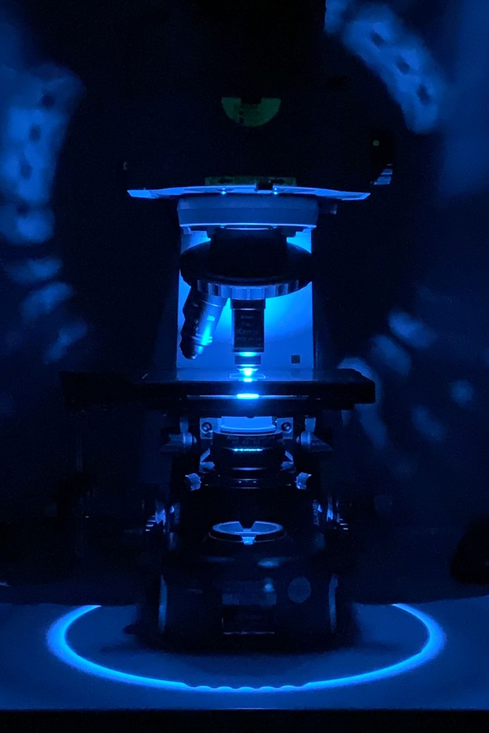 Nikon Eclipse Ci microscope with coolLED PE-100 single wavelength fluorescence LED illumination system.