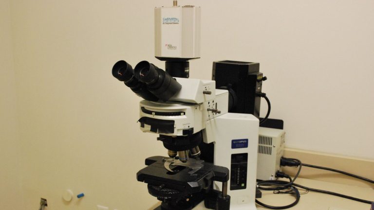 Olympus BX51 Microscope