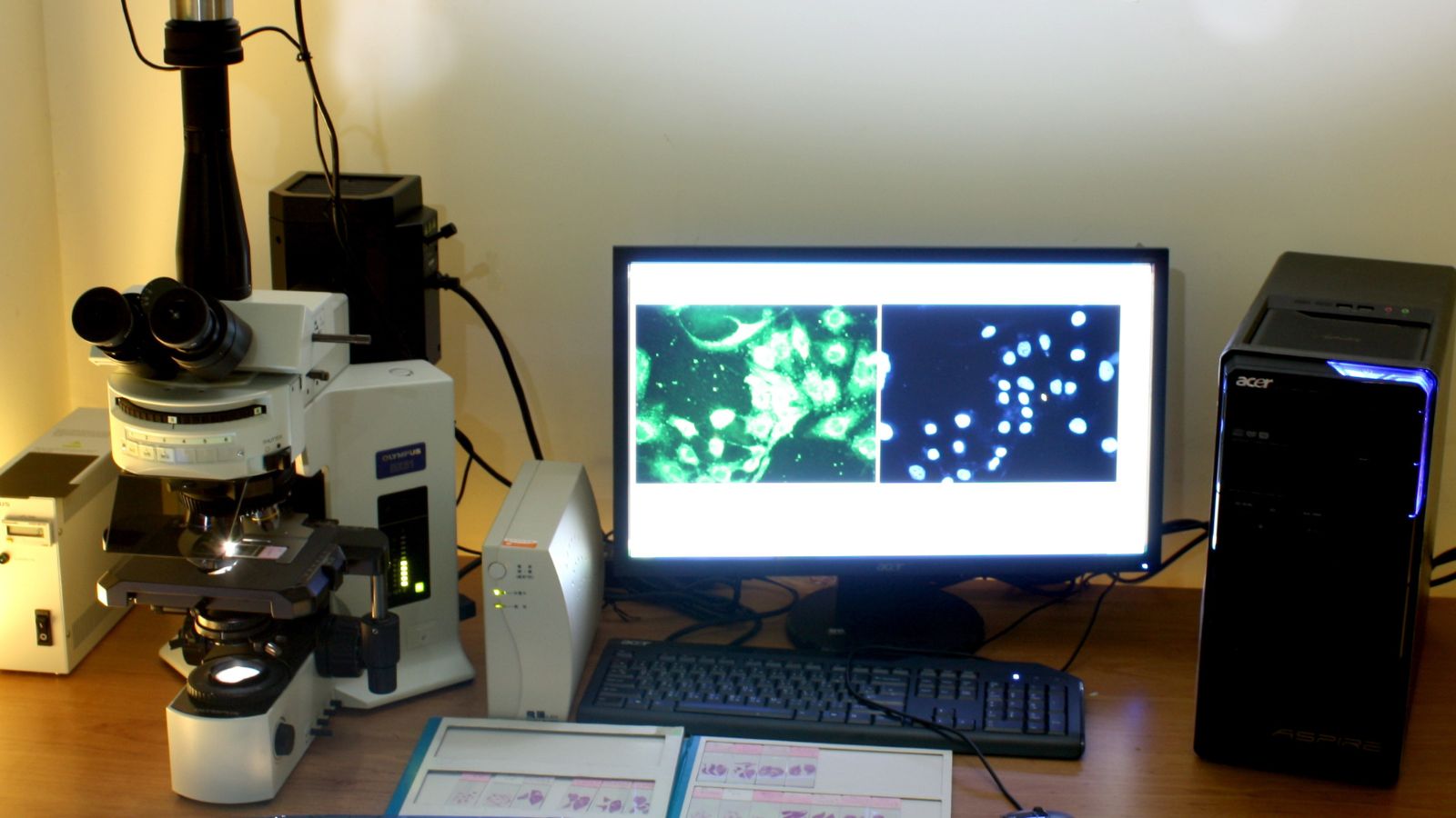 Olympus Research microscope BX51 with fluorescence system and image capturing system.