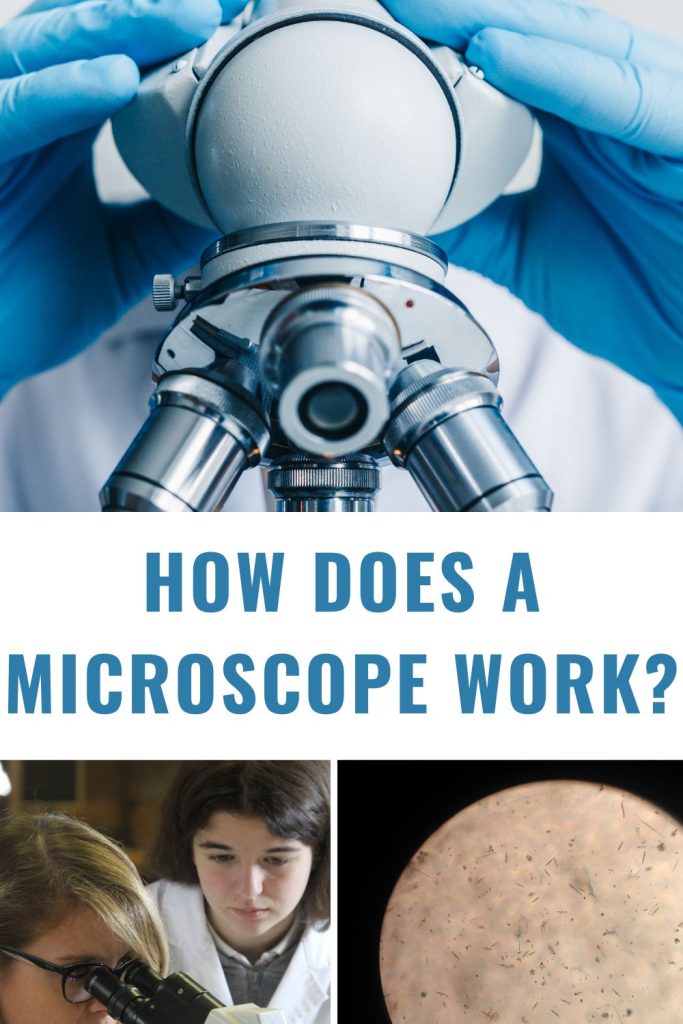 How Does a Microscope Work?