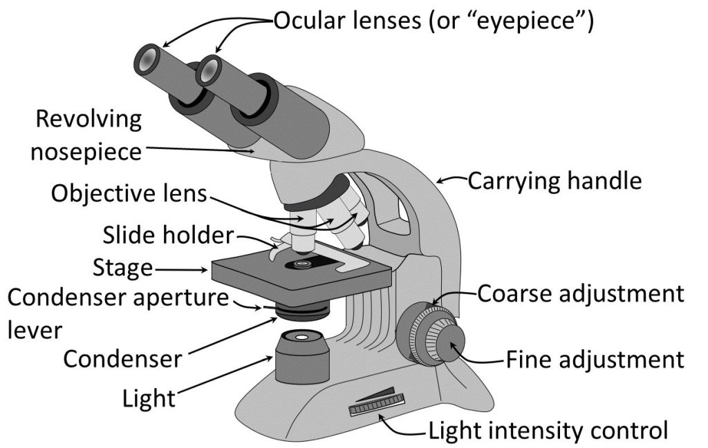 parts for a microscope.